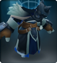Polar Night Warden Coat-Equipped.png