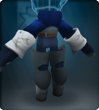 Sentinel Armor-Equipped 2.png