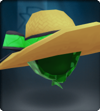 Tech Green Straw Floppy Beach Hat-Equipped.png