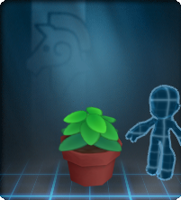 Furniture-Green Potted Plant.png
