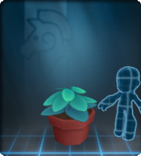 A breezy blue plant inside a cheerful pot.