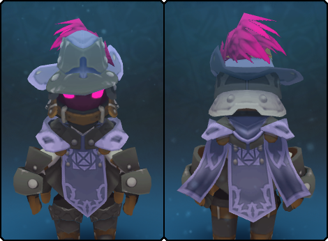 Tabard of the Coral Rose in its set