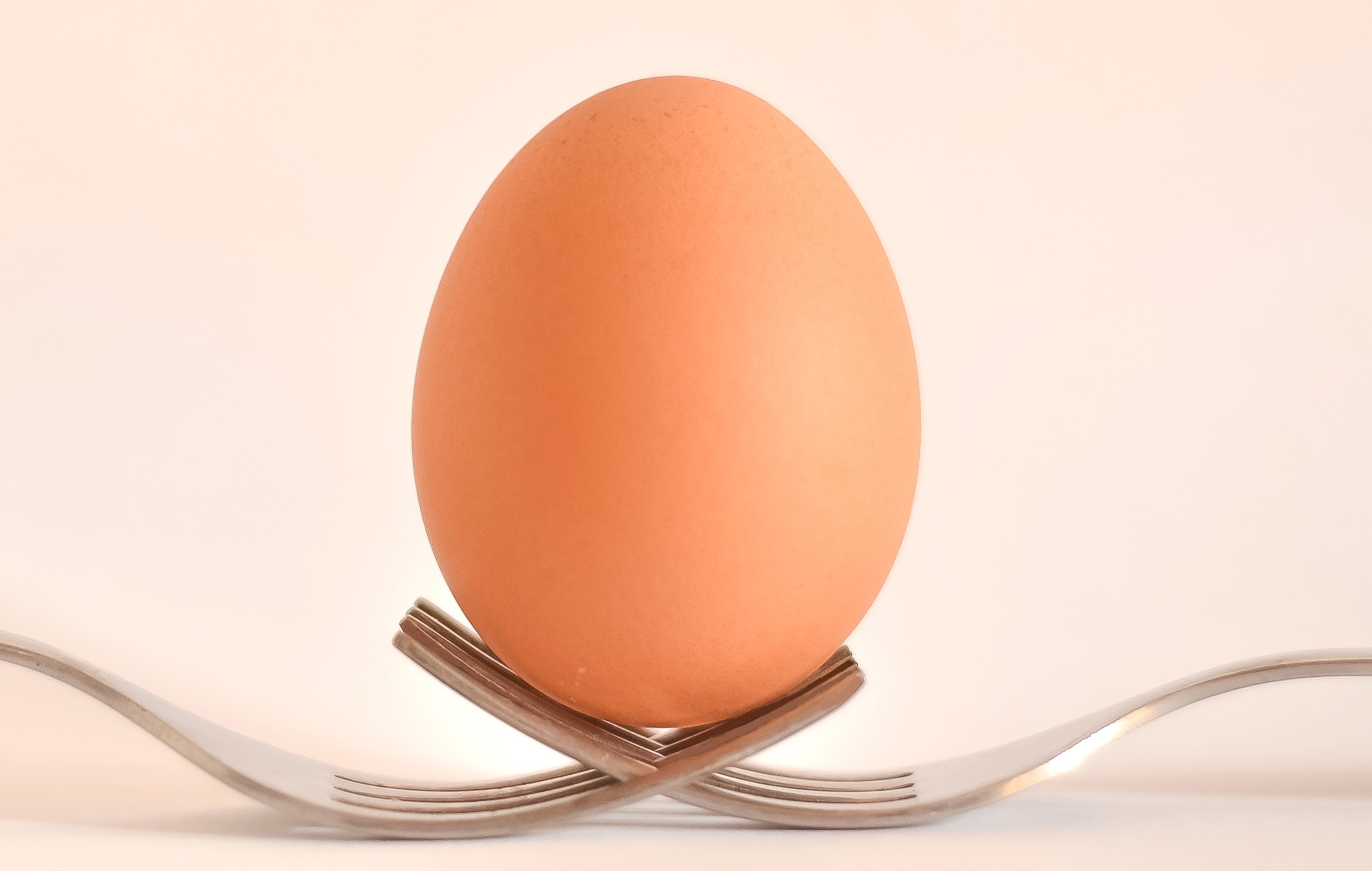 The Egg of Knowledge.jpeg