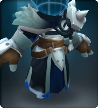 Polar Day Warden Coat-Equipped.png