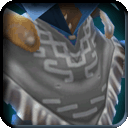Equipment-Nameless Poncho icon.png
